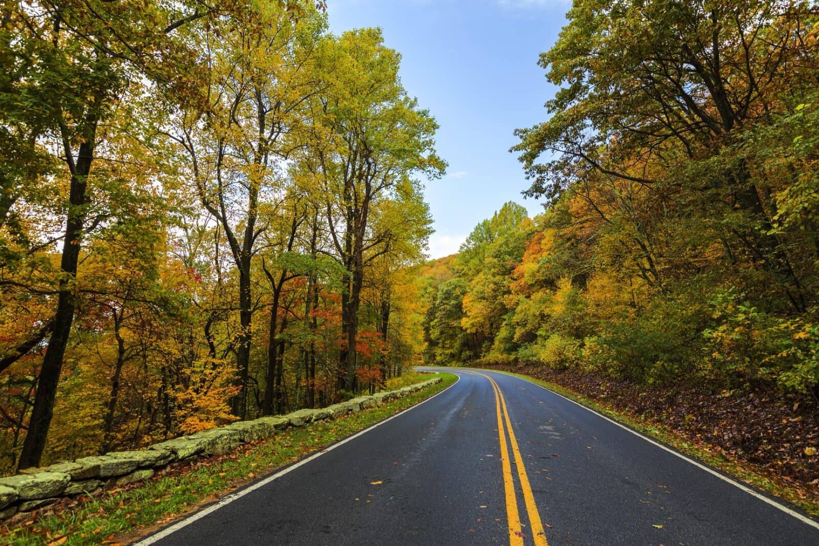 Hotels that allow 18-21 year olds in Virginia