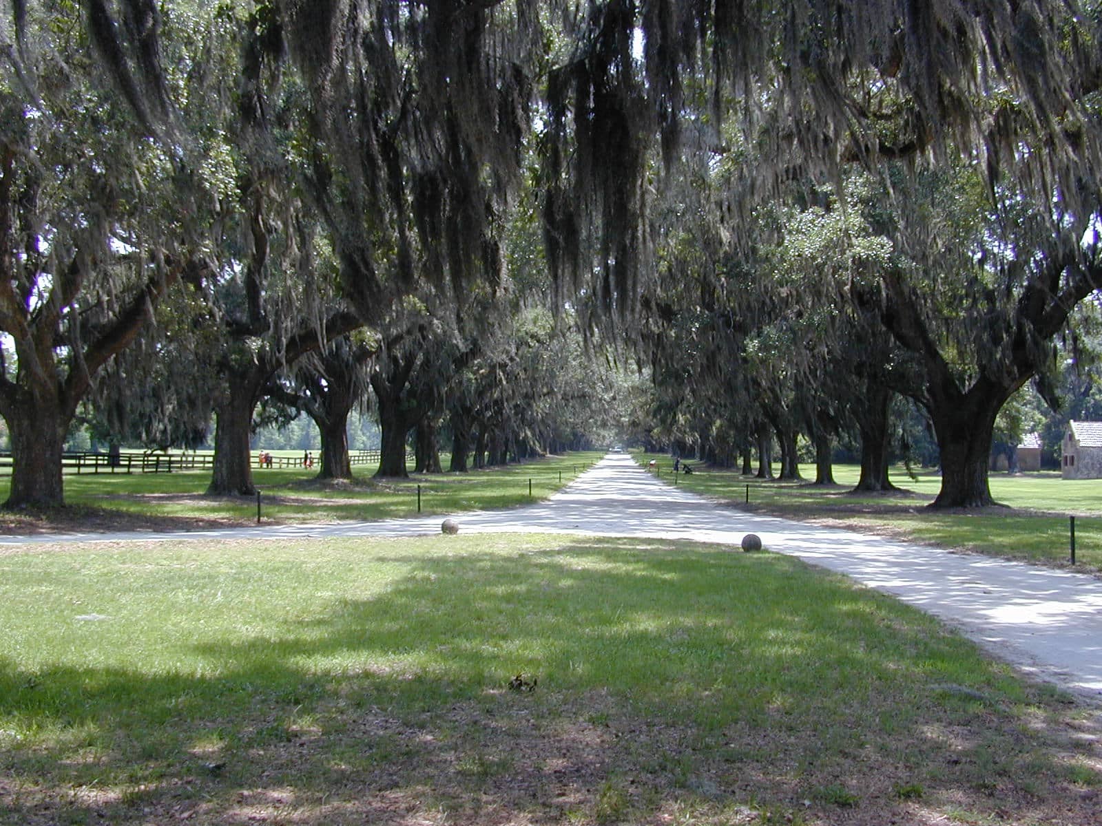 Hotels that allow 18-21 year olds in Mount Pleasant, South Carolina
