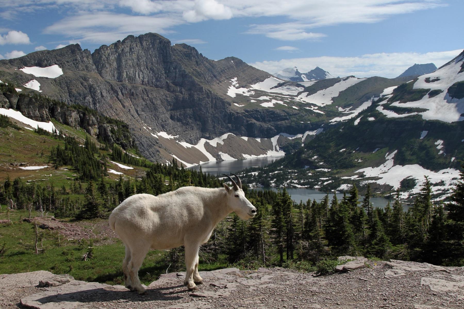 Hotels that allow 18-21 year olds in Montana