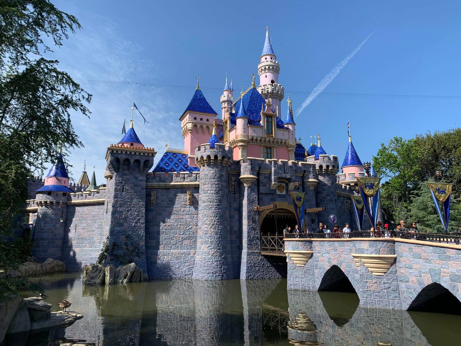 Hotels that allow 18-21 year olds in Anaheim, California